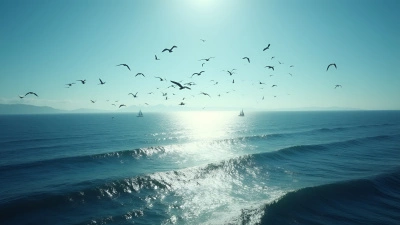 Aerial View of Birds Soaring Over Ocean