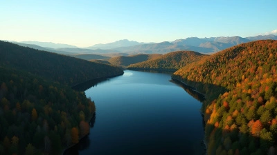 Aerial View of Mixed Forest and Reflective Lake