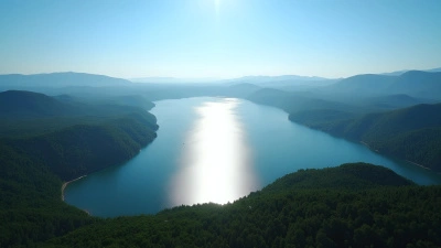 Aerial View of Shimmering Lake and Green Forests