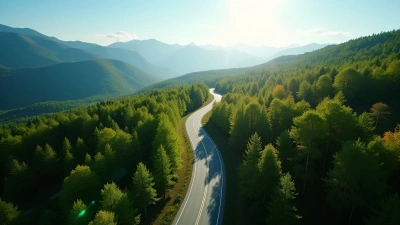Aerial View Of Winding Road Through Forest