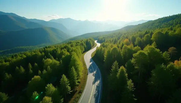 Aerial View Of Winding Road Through Forest
