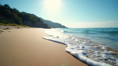 Beach Shoreline Overlooking Calm Blue Water