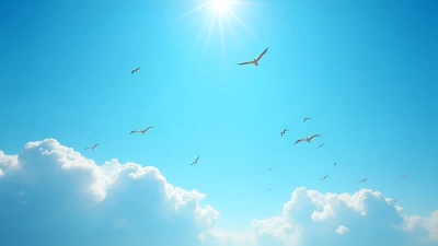 Birds Soaring In Bright Daytime Sky