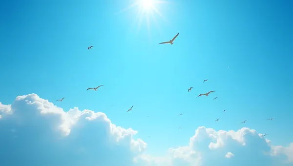Birds Soaring In Bright Daytime Sky