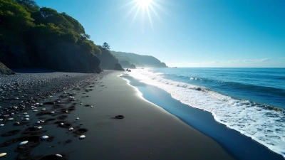 Black Sand Beach Aerial View With Gentle Waves