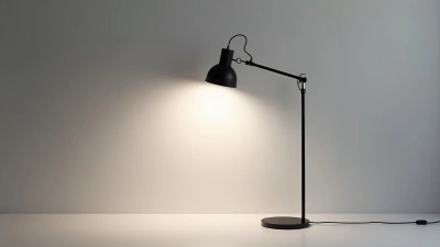 Black and White Floor Lamp With Adjustable Arm