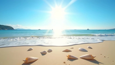 Bright Daytime Seashore With Gentle Waves