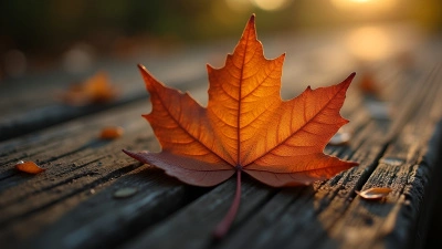 Brown Autumn Leaf Close-Up On Wood