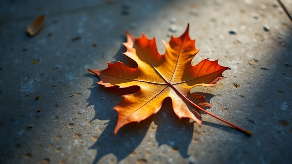 A brown autumn leaf resting on a textured grey concrete surface with soft natural lighting and subtle shadows