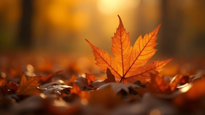 Brown Autumn Leaves Close-Up With Texture