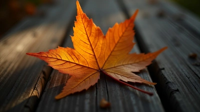 Brown Maple Leaf Close-Up On Wood