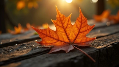 Brown Maple Leaf With Veins On Wood