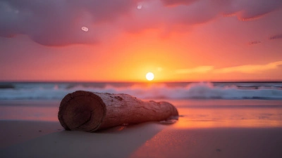 Brown Wood Log on Sandy Beach at Sunset