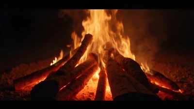 Burning Wooden Logs In Vibrant Campfire