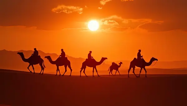 Camel Silhouettes Walking Across Desert Dunes