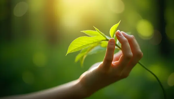 Close-Up Green Leaves Held by Hand
