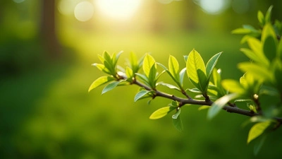Close-Up Tree Branch With Green Leaves