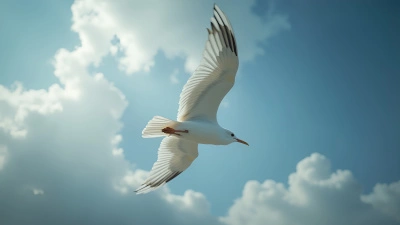 Close-Up White Bird Soaring In Sky