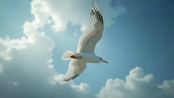 Close-Up White Bird Soaring In Sky