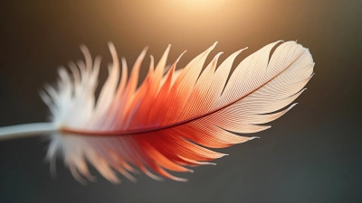 Close-Up White Red Bird Feather Texture