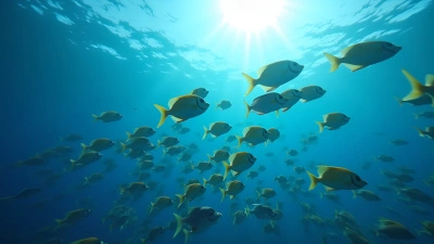 Colorful Tropical Fish Swimming in Clear Ocean