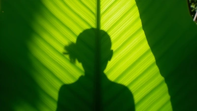 Crisp Silhouette On Vibrant Green Leaf