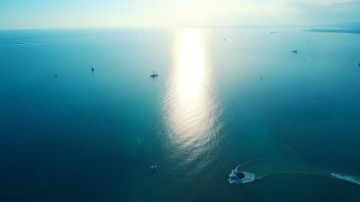 Deep Blue Ocean Aerial View With Sunlight