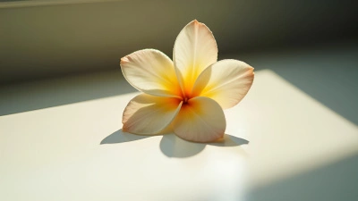 Delicate Beige-Petaled Flower On White Surface