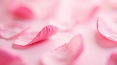 Delicate Pink Flower Petals Close-Up
