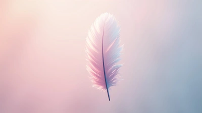 Delicate White Pink Bird Feather Close-Up
