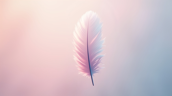 Close-up of a delicate white and pink bird feather with soft texture and gentle color gradients