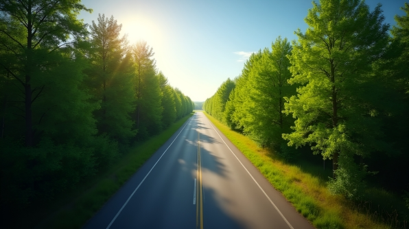 A deserted road through vibrant green trees under a clear blue sky