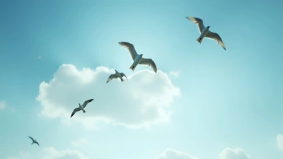 Four Birds Soaring Against Blue Sky