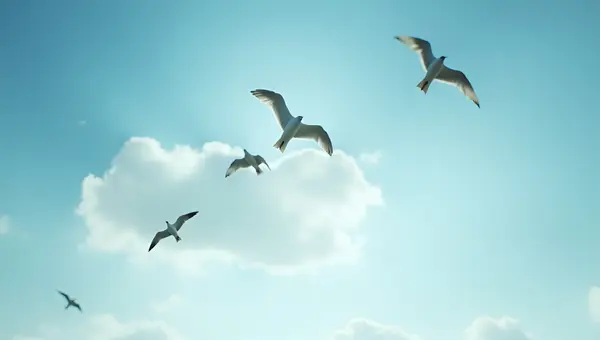 Four Birds Soaring Against Blue Sky