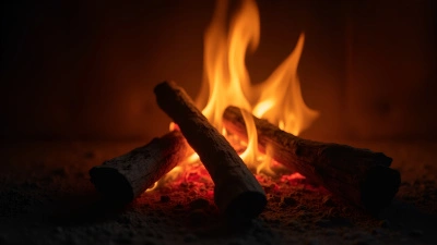 Glowing Wood Fire Close-Up With Flickering Flames