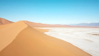 Golden Sandy Dunes And White Snowfields Landscape