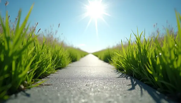 Gray Concrete Pathway Amid Green Grass
