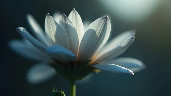 Gray-Petaled Flower Close-Up With Soft Background