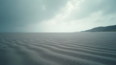 Gray Sand Expanses Under Overcast Skies