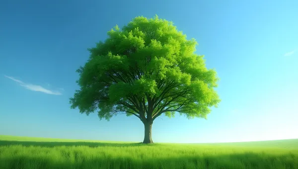 Green Leafed Tree In Sunlit Meadow