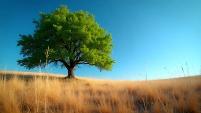 Green-Leaved Tree Beside Dry Grass Field