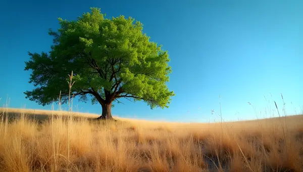 Green-Leaved Tree Beside Dry Grass Field
