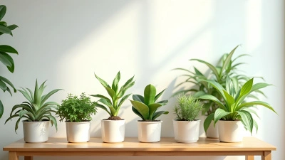 Green Potted Plants On Wooden Table In Minimalist Room