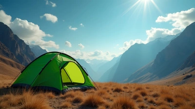 Green Tent on Dry Field Near Mountains