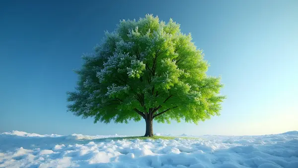 Green Tree Covered In Fresh Snow Against Blue Sky