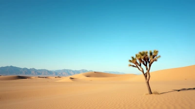 Joshua Tree In Vast Sandy Desert Landscape