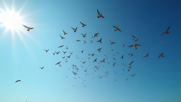 Large Flock Of Birds Soaring In Blue Sky