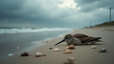 Lifeless Bird on Damp Sandy Shore Under Overcast Sky