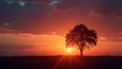 Lone Tree Silhouette At Vibrant Sunset