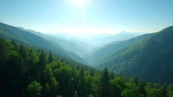 Lush green forest covering rolling mountains under a clear blue sky with sunlight filtering through dense tree canopies